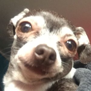 Meet your Posher, Blanca